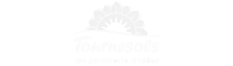 tournesols